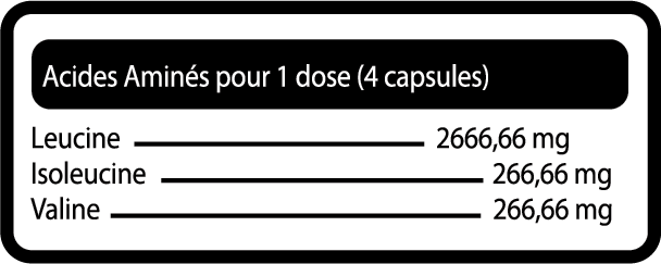 Tableau nutritionnel BCAA 4000